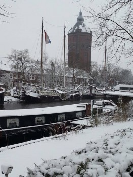 Rein de Vries trok zondagochtend gewapend met fotocamera er op uit om mooie plaatjes te maken, waaronder deze. Foto: Rein de Vries