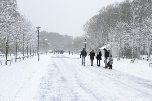 Jerry Vinke maakte zondagmiddag een mooie wandeling. Deze foto maakte hij in het Stadspark.