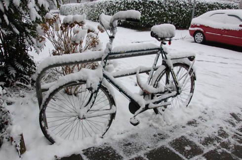 Fotograaf Kevin van der Laan had oog voor detail. Deze mooie foto maakte hij in de wijk Paddepoel