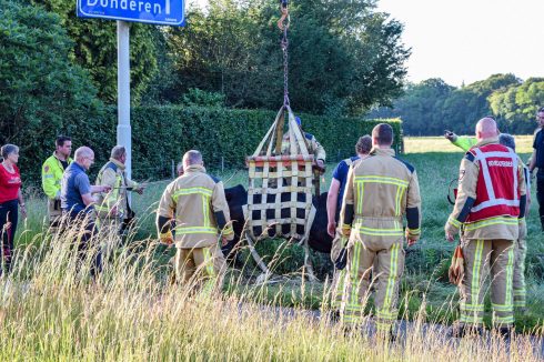 Brandweer Redt Paard Uit Sloot | OOG Groningen