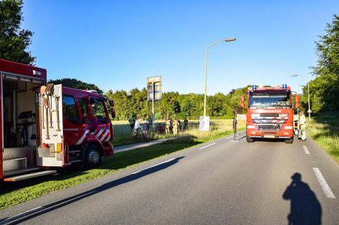 Brandweer redt paard uit sloot